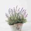 Artificial Flower 33*23*41cm Lavender in Metal pot GS-03322058 Potted Flowers&Plants YeahFlower is one of Chinese leading OEM manufacturers and exporters , supplying the silk flowers, wholesale artificial trees