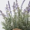 Artificial Flower 33*23*41cm Lavender in Metal pot GS-03322058 Potted Flowers&Plants YeahFlower is one of Chinese leading OEM manufacturers and exporters , supplying the silk flowers, wholesale artificial trees