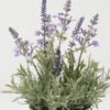Artificial Flower Lavender in Metal pot GS-03322061_1 Artificial Flower 16*16*27cm Lavender in Metal pot GS-03322061 Potted Flowers&Plants YeahFlower is one of Chinese leading OEM manufacturers and exporters , supplying the silk flowers, wholesale artificial trees