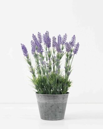 Artificial Flower 32*32*44cm Lavender in Metal pot GS-03322066 Potted Flowers&Plants YeahFlower is one of Chinese leading OEM manufacturers and exporters , supplying the silk flowers, wholesale artificial trees Artificial Flower 32*32*44cm Lavender in Metal pot GS-03322066 Potted Flowers&Plants YeahFlower is one of Chinese leading OEM manufacturers and exporters , supplying the silk flowers, wholesale artificial trees