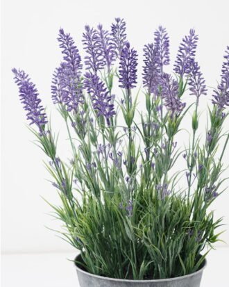 Artificial Flower 32*32*44cm Lavender in Metal pot GS-03322066 Potted Flowers&Plants YeahFlower is one of Chinese leading OEM manufacturers and exporters , supplying the silk flowers, wholesale artificial trees Artificial Flower 32*32*44cm Lavender in Metal pot GS-03322066 Potted Flowers&Plants YeahFlower is one of Chinese leading OEM manufacturers and exporters , supplying the silk flowers, wholesale artificial trees