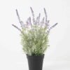 Artificial Flower Lavender in PP pot GS-03322030 Artificial Flower 30*30*42cm Lavender in PP pot GS-03322030 Potted Flowers&Plants YeahFlower is one of Chinese leading OEM manufacturers and exporters , supplying the silk flowers, wholesale artificial trees