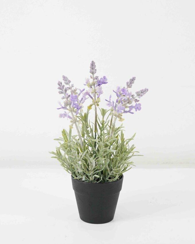 Artificial Flower Lavender in PP pot GS-03322030_6 Artificial Flower 30*30*42cm Lavender in PP pot GS-03322030 Potted Flowers&Plants YeahFlower is one of Chinese leading OEM manufacturers and exporters , supplying the silk flowers, wholesale artificial trees