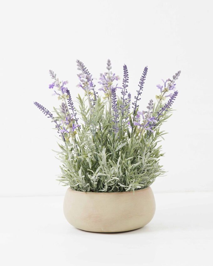 Artificial Flower Lavender in Paper pot GS-03322044 Artificial Flower 30*30*36cm Lavender in Paper pot GS-03322044 Potted Flowers&Plants 3,000+ sqm showroom with thousands of artificial flowers, plants & trees ready for global sourcing.
