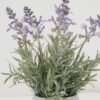Artificial Flower 16*16*27cm Lavender in Paper pot GS-03322054 Potted Flowers&Plants YeahFlower is one of Chinese leading OEM manufacturers and exporters , supplying the silk flowers, wholesale artificial trees