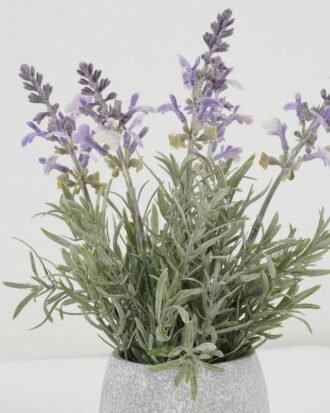 Artificial Flower 16*16*27cm Lavender in Paper pot GS-03322054 Potted Flowers&Plants YeahFlower is one of Chinese leading OEM manufacturers and exporters , supplying the silk flowers, wholesale artificial trees Artificial Flower 16*16*27cm Lavender in Paper pot GS-03322054 Potted Flowers&Plants YeahFlower is one of Chinese leading OEM manufacturers and exporters , supplying the silk flowers, wholesale artificial trees