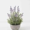 Artificial Flower Lavender in Paper pot GS-03322082 Artificial Flower 22*22*35cm Lavender in Paper pot GS-03322082 Potted Flowers&Plants YeahFlower is one of Chinese leading OEM manufacturers and exporters , supplying the silk flowers, wholesale artificial trees