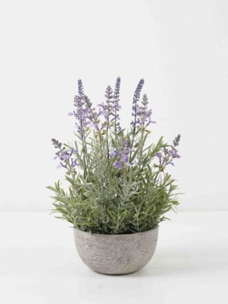 Artificial Plant 20*20*15cm Real touch ivy in PP pot GS-64222020 Potted Flowers&Plants 3,000+ sqm showroom with thousands of artificial flowers, plants & trees ready for global sourcing.