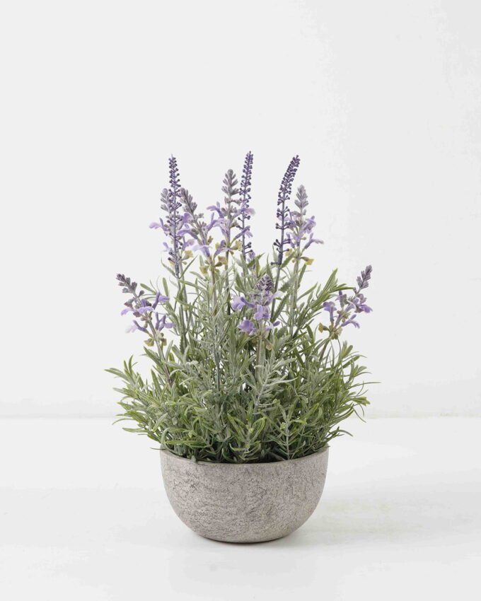 Artificial Flower Lavender in Paper pot GS-03322082 Artificial Flower 22*22*35cm Lavender in Paper pot GS-03322082 Potted Flowers&Plants YeahFlower is one of Chinese leading OEM manufacturers and exporters , supplying the silk flowers, wholesale artificial trees