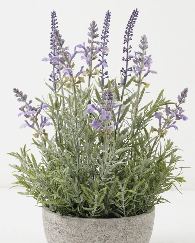 Artificial Flower Lavender in Paper pot GS-03322082_7 Artificial Flower 22*22*35cm Lavender in Paper pot GS-03322082 Potted Flowers&Plants YeahFlower is one of Chinese leading OEM manufacturers and exporters , supplying the silk flowers, wholesale artificial trees