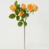 Artificial Flower 20*53cm Mary rose*5 GS-25822002 Single Flowers YeahFlower is one of Chinese leading OEM manufacturers and exporters , supplying the silk flowers, wholesale artificial trees