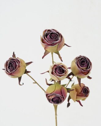 Artificial Flower 18*59cm Mary rose*6 GS-25822005-Z3 Single Flowers YeahFlower is one of Chinese leading OEM manufacturers and exporters , supplying the silk flowers, wholesale artificial trees Artificial Flower 18*59cm Mary rose*6 GS-25822005-Z3 Single Flowers YeahFlower is one of Chinese leading OEM manufacturers and exporters , supplying the silk flowers, wholesale artificial trees