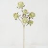 Artificial Flower 18*59cm Mary rose*6 GS-25822005 Single Flowers YeahFlower is one of Chinese leading OEM manufacturers and exporters , supplying the silk flowers, wholesale artificial trees