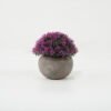Artificial Flower 12*12*13cm Mini grass in cement?pot GS-05522004 Potted Flowers&Plants YeahFlower is one of Chinese leading OEM manufacturers and exporters , supplying the silk flowers, wholesale artificial trees