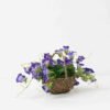 Artificial Flower Morning glory in Basket GS-03322093-Z1 Artificial Flower 40*36*18.5cm Morning glory in Basket GS-03322093-Z1 Potted Flowers&Plants YeahFlower is one of Chinese leading OEM manufacturers and exporters , supplying the silk flowers, wholesale artificial trees