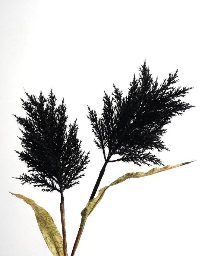 Artificial Flower 30*30*100cm Pampas grass *2 single stem GS-35122006-H2 Single Flowers YeahFlower is one of Chinese leading OEM manufacturers and exporters , supplying the silk flowers, wholesale artificial trees