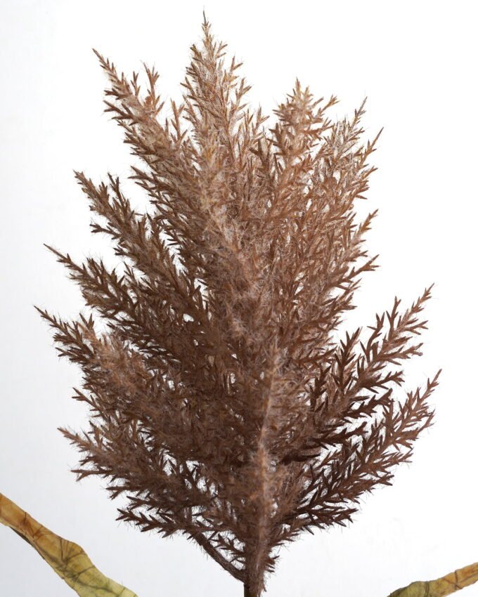 Artificial Flower 20*20*90cm Pampas grass single stem GS-35122005-K1 Single Flowers YeahFlower is one of Chinese leading OEM manufacturers and exporters , supplying the silk flowers, wholesale artificial trees