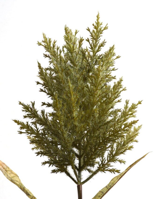 Artificial Flower 20*20*90cm Pampas grass single stem GS-35122005 Single Flowers YeahFlower is one of Chinese leading OEM manufacturers and exporters , supplying the silk flowers, wholesale artificial trees