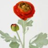 Artificial Flower 8*8*50cm Ranunculus single stem GS-66222017-O1 Single Flowers YeahFlower is one of Chinese leading OEM manufacturers and exporters , supplying the silk flowers, wholesale artificial trees