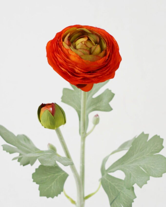 Artificial Flower 8*8*50cm Ranunculus single stem GS-66222017-O1 Single Flowers YeahFlower is one of Chinese leading OEM manufacturers and exporters , supplying the silk flowers, wholesale artificial trees