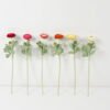 Artificial Flower 8*8*50cm Ranunculus single stem GS-66222017 Single Flowers YeahFlower is one of Chinese leading OEM manufacturers and exporters , supplying the silk flowers, wholesale artificial trees