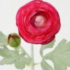 Artificial Flower 8*8*50cm Ranunculus single stem GS-66222017 Single Flowers YeahFlower is one of Chinese leading OEM manufacturers and exporters , supplying the silk flowers, wholesale artificial trees