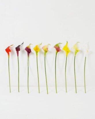 Artificial Flower 10*10*42cm Real touch calla single stem GS-47122001