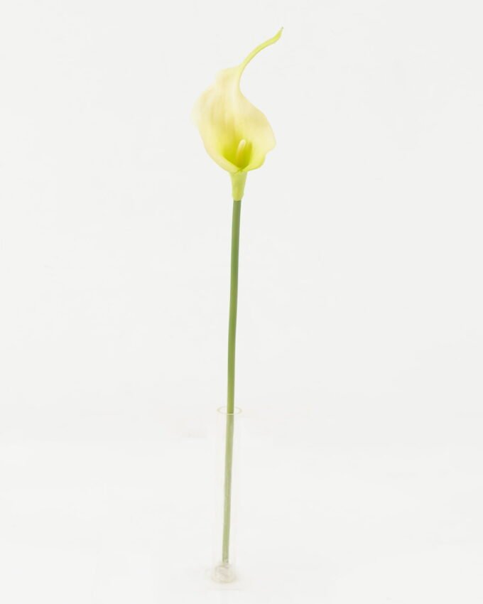 Artificial Flower 10*10*42cm Real touch calla single stem GS-47122001-Z1 Single Flowers YeahFlower is one of Chinese leading OEM manufacturers and exporters , supplying the silk flowers, wholesale artificial trees