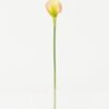 Artificial Flower 10*10*42cm Real touch calla single stem GS-47122001 Single Flowers YeahFlower is one of Chinese leading OEM manufacturers and exporters , supplying the silk flowers, wholesale artificial trees