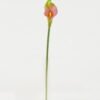 Artificial Flower 8*8*30cm Real touch calla single stem GS-47122002-P2 Single Flowers YeahFlower is one of Chinese leading OEM manufacturers and exporters , supplying the silk flowers, wholesale artificial trees