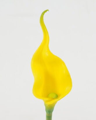 Artificial Flower 8*8*30cm Real touch calla single stem GS-47122002 Single Flowers YeahFlower is one of Chinese leading OEM manufacturers and exporters , supplying the silk flowers, wholesale artificial trees