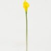 Artificial Flower 8*8*30cm Real touch calla single stem GS-47122002 Single Flowers YeahFlower is one of Chinese leading OEM manufacturers and exporters , supplying the silk flowers, wholesale artificial trees