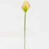 Artificial Flower 8*8*30cm Real touch calla single stem GS-47122002 Single Flowers YeahFlower is one of Chinese leading OEM manufacturers and exporters , supplying the silk flowers, wholesale artificial trees