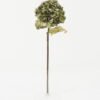 Artificial Flower 20*20*54cm Roasted dry hydrangea single stem GS-35122018-G1 Single Flowers YeahFlower is one of Chinese leading OEM manufacturers and exporters , supplying the silk flowers, wholesale artificial trees