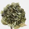 Artificial Flower 20*20*54cm Roasted dry hydrangea single stem GS-35122018-G1 Single Flowers YeahFlower is one of Chinese leading OEM manufacturers and exporters , supplying the silk flowers, wholesale artificial trees