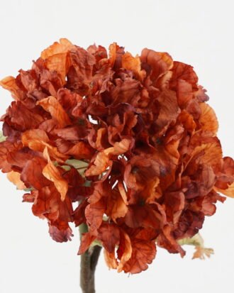 Artificial Flower 20*20*54cm Roasted dry hydrangea single stem GS-35122018 Single Flowers YeahFlower is one of Chinese leading OEM manufacturers and exporters , supplying the silk flowers, wholesale artificial trees Artificial Flower 20*20*54cm Roasted dry hydrangea single stem GS-35122018 Single Flowers YeahFlower is one of Chinese leading OEM manufacturers and exporters , supplying the silk flowers, wholesale artificial trees