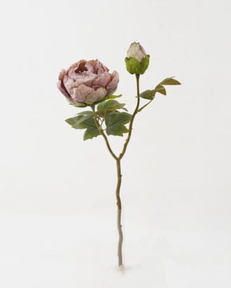 Artificial Flower 28*28*50cm Roasted dry peony *2 single stem GS-35122009-Z1 Single Flowers YeahFlower is one of Chinese leading OEM manufacturers and exporters , supplying the silk flowers, wholesale artificial trees Artificial Flower 28*28*50cm Roasted dry peony *2 single stem GS-35122009-Z1 Single Flowers YeahFlower is one of Chinese leading OEM manufacturers and exporters , supplying the silk flowers, wholesale artificial trees