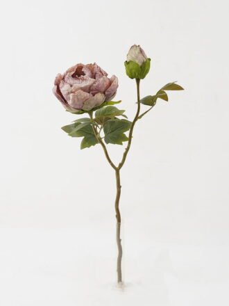 Artificial Flower 28*28*50cm Roasted dry peony *2 single stem GS-35122009 Single Flowers 3,000+ sqm showroom with thousands of artificial flowers, plants & trees ready for global sourcing.