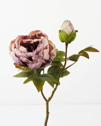Artificial Flower 28*28*50cm Roasted dry peony *2 single stem GS-35122009-Z1 Single Flowers YeahFlower is one of Chinese leading OEM manufacturers and exporters , supplying the silk flowers, wholesale artificial trees Artificial Flower 28*28*50cm Roasted dry peony *2 single stem GS-35122009-Z1 Single Flowers YeahFlower is one of Chinese leading OEM manufacturers and exporters , supplying the silk flowers, wholesale artificial trees