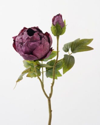 Artificial Flower 28*28*50cm Roasted dry peony *2 single stem GS-35122009-Z2 Single Flowers YeahFlower is one of Chinese leading OEM manufacturers and exporters , supplying the silk flowers, wholesale artificial trees Artificial Flower 28*28*50cm Roasted dry peony *2 single stem GS-35122009-Z2 Single Flowers YeahFlower is one of Chinese leading OEM manufacturers and exporters , supplying the silk flowers, wholesale artificial trees