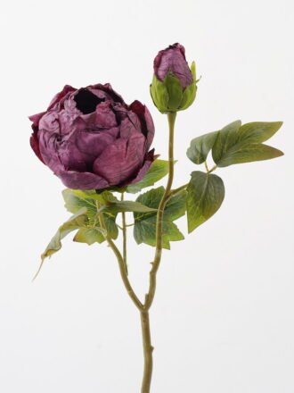 Artificial Flower 28*28*50cm Roasted dry peony *2 single stem GS-35122009-Z1 Single Flowers 3,000+ sqm showroom with thousands of artificial flowers, plants & trees ready for global sourcing.