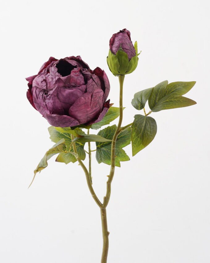 Artificial Flower 28*28*50cm Roasted dry peony *2 single stem GS-35122009-Z2 Single Flowers YeahFlower is one of Chinese leading OEM manufacturers and exporters , supplying the silk flowers, wholesale artificial trees