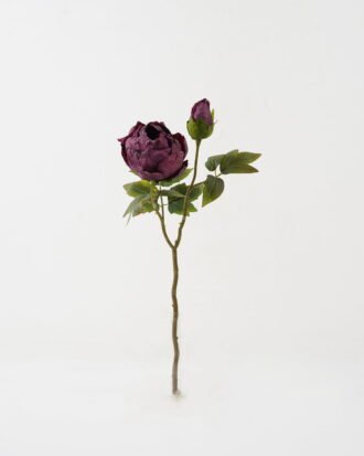 Artificial Flower 28*28*50cm Roasted dry peony *2 single stem GS-35122009-Z2 Single Flowers YeahFlower is one of Chinese leading OEM manufacturers and exporters , supplying the silk flowers, wholesale artificial trees Artificial Flower 28*28*50cm Roasted dry peony *2 single stem GS-35122009-Z2 Single Flowers YeahFlower is one of Chinese leading OEM manufacturers and exporters , supplying the silk flowers, wholesale artificial trees