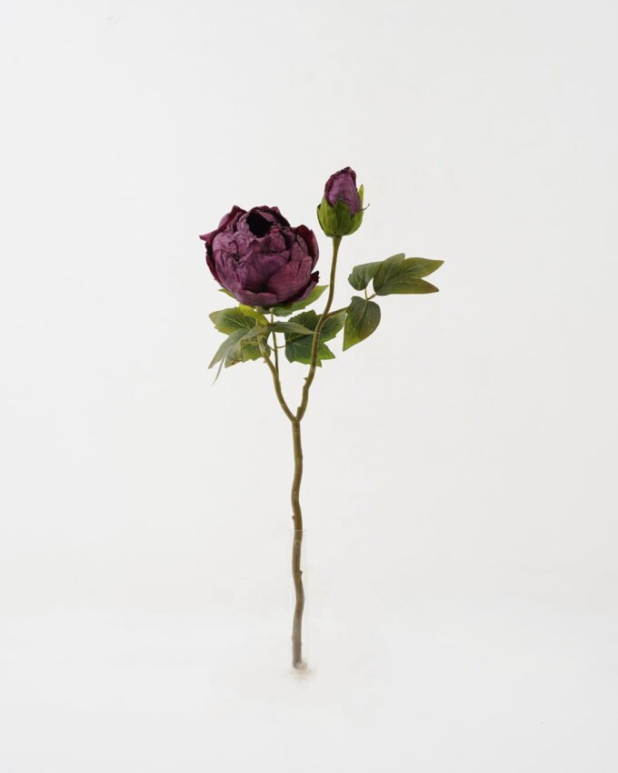 Artificial Flower 28*28*50cm Roasted dry peony *2 single stem GS-35122009-Z2 Single Flowers YeahFlower is one of Chinese leading OEM manufacturers and exporters , supplying the silk flowers, wholesale artificial trees