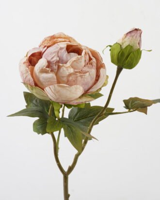 Artificial Flower 28*28*50cm Roasted dry peony *2 single stem GS-35122009 Single Flowers YeahFlower is one of Chinese leading OEM manufacturers and exporters , supplying the silk flowers, wholesale artificial trees Artificial Flower 28*28*50cm Roasted dry peony *2 single stem GS-35122009 Single Flowers YeahFlower is one of Chinese leading OEM manufacturers and exporters , supplying the silk flowers, wholesale artificial trees