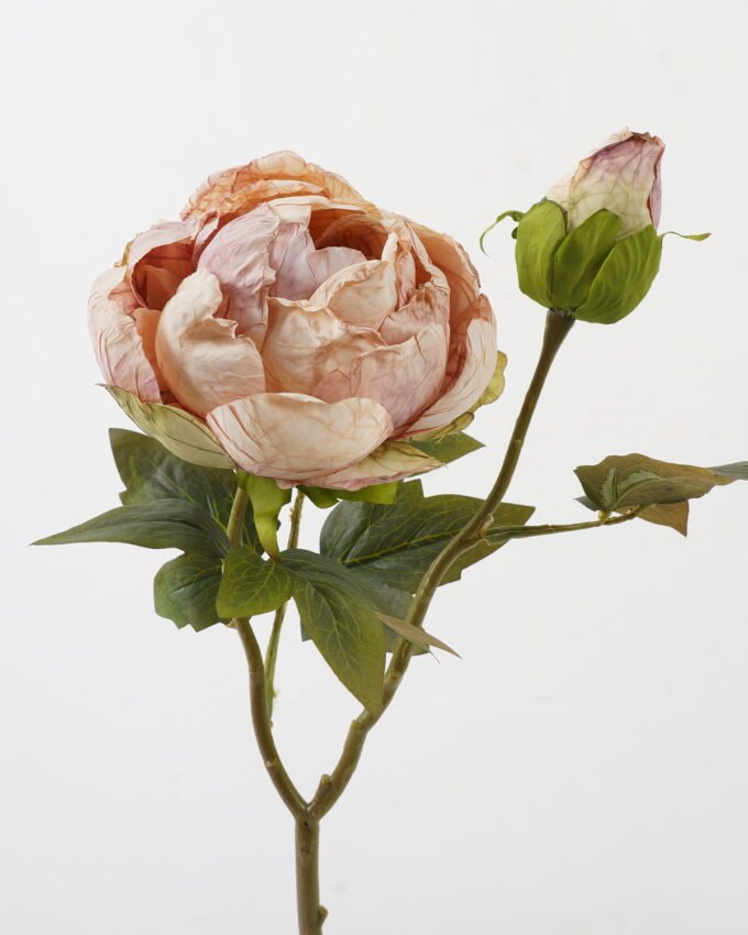 Artificial Flower 28*28*50cm Roasted dry peony *2 single stem GS-35122009 Single Flowers YeahFlower is one of Chinese leading OEM manufacturers and exporters , supplying the silk flowers, wholesale artificial trees