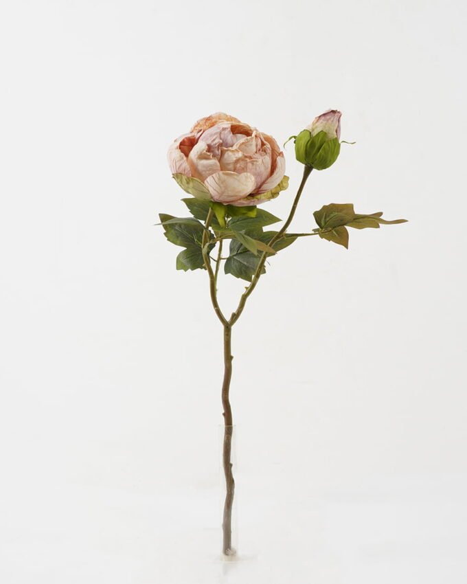 Artificial Flower 28*28*50cm Roasted dry peony *2 single stem GS-35122009 Single Flowers YeahFlower is one of Chinese leading OEM manufacturers and exporters , supplying the silk flowers, wholesale artificial trees