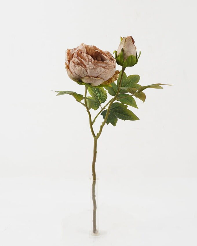 Artificial Flower 28*28*50cm Roasted dry peony *2 single stem GS-35122009 Single Flowers YeahFlower is one of Chinese leading OEM manufacturers and exporters , supplying the silk flowers, wholesale artificial trees