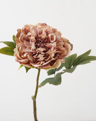 Artificial Flower 22*22*45cm Roasted dry peony single stem GS-35122008 Single Flowers YeahFlower is one of Chinese leading OEM manufacturers and exporters , supplying the silk flowers, wholesale artificial trees Artificial Flower 22*22*45cm Roasted dry peony single stem GS-35122008 Single Flowers YeahFlower is one of Chinese leading OEM manufacturers and exporters , supplying the silk flowers, wholesale artificial trees