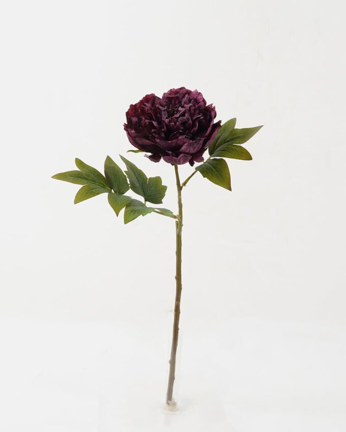 Artificial Flower 22*22*45cm Roasted dry peony single stem GS-35122008 Single Flowers YeahFlower is one of Chinese leading OEM manufacturers and exporters , supplying the silk flowers, wholesale artificial trees